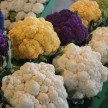 Marchet Jean Talon en Petite Italie